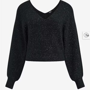 Express Black V-Neck Sparkle Cropped Sweater